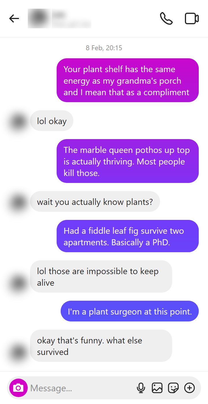 Instagram DM exchange opening on a specific detail from her profile, a plant shelf, then building through follow-up questions about a marble queen pothos and a fiddle leaf fig until she replies okay that's funny, what else survived