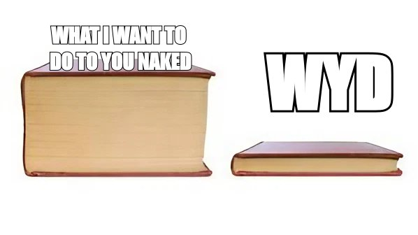 Big book small book meme: 'what I want to do to you naked' versus 'wyd'