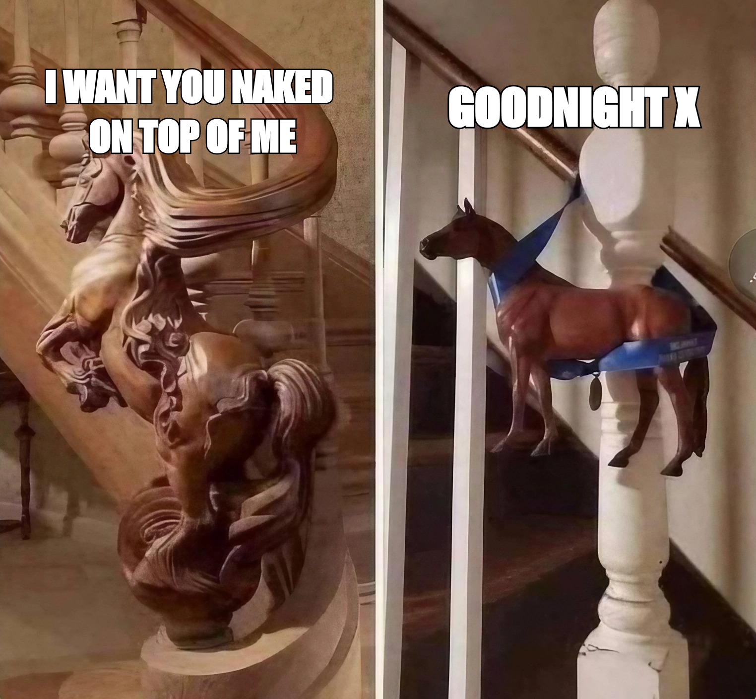 Fancy horse versus toy horse meme: 'I want you naked on top of me' versus 'goodnight x'