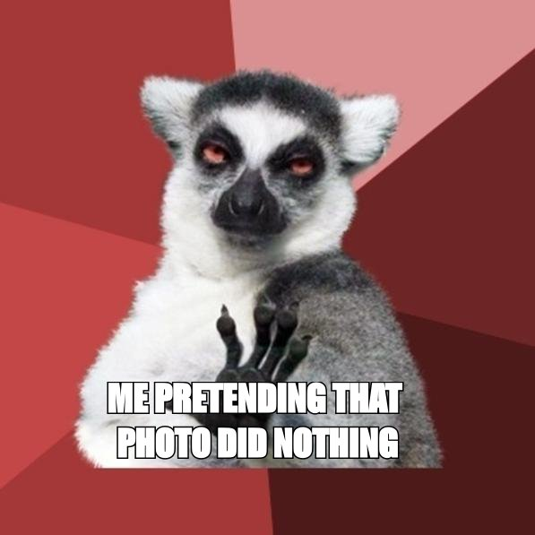Chill out lemur meme: 'me pretending that photo did nothing'