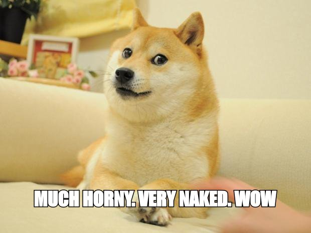 Doge meme: 'much horny. very naked. wow'