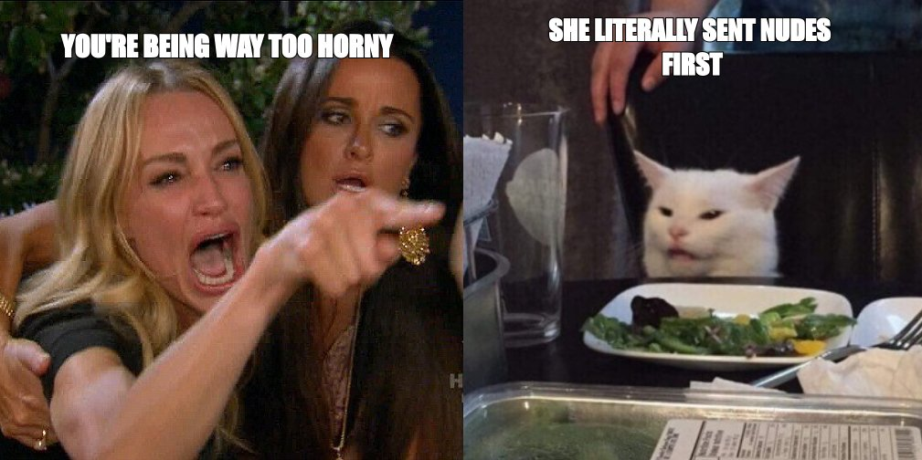 Woman yelling at cat meme: 'you're being way too horny' and 'she literally sent nudes first'