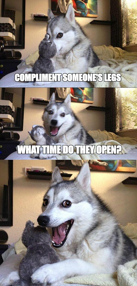 Bad pun dog meme: 'compliment someone's legs' 'what time do they open?'