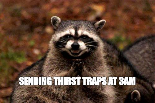 Evil plotting raccoon meme: 'sending thirst traps at 3am'