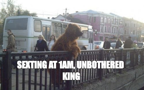 City bear meme: 'sexting at 1am, unbothered king'