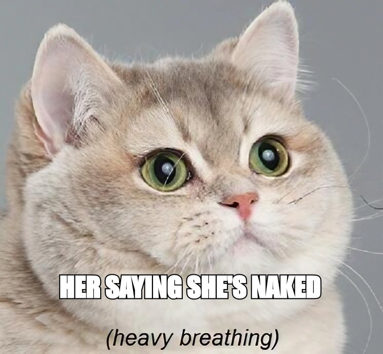 Heavy breathing cat meme: 'her saying she's naked'