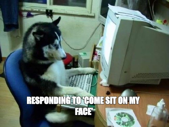 I have no idea what I'm doing meme: 'responding to come sit on my face'