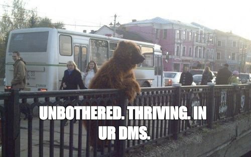 City bear meme: 'unbothered, thriving, in ur DMs'