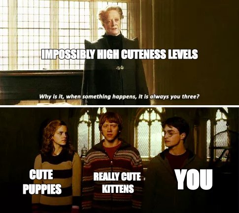 Always you three meme: 'cute puppies', 'really cute kittens', and 'you' at impossibly high cuteness