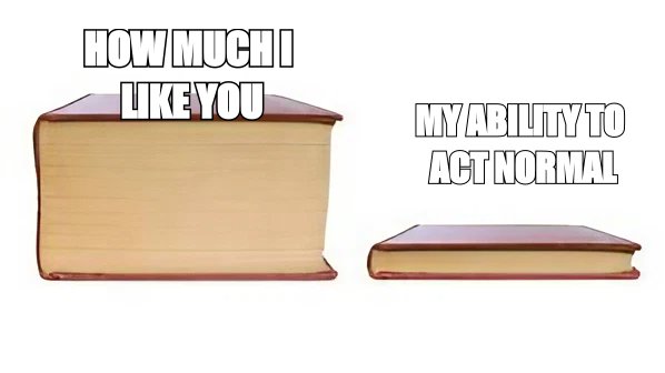 Big book, small book meme: 'how much I like you' versus 'my ability to act normal'