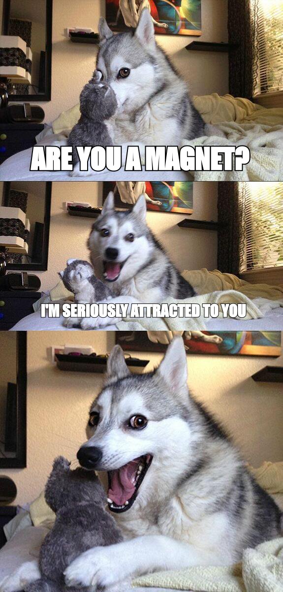 Bad Pun Dog meme: 'are you a magnet? I'm seriously attracted to you'
