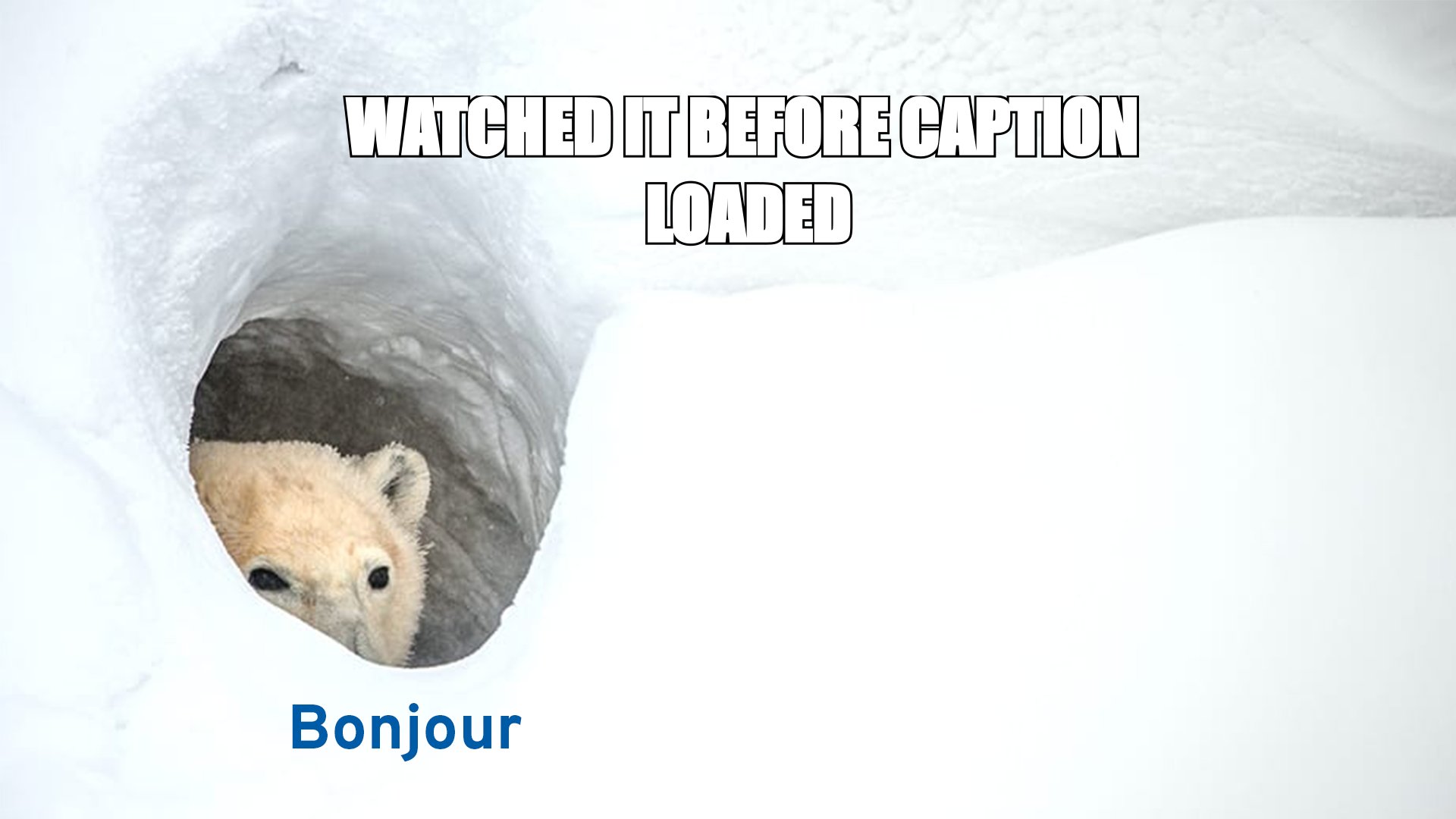 Bonjour bear meme: appearing the moment she posts a story