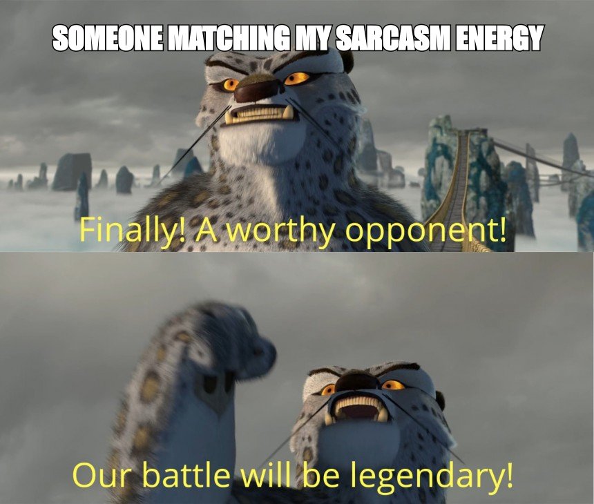 Finally a worthy opponent meme: 'someone matching my sarcasm energy'