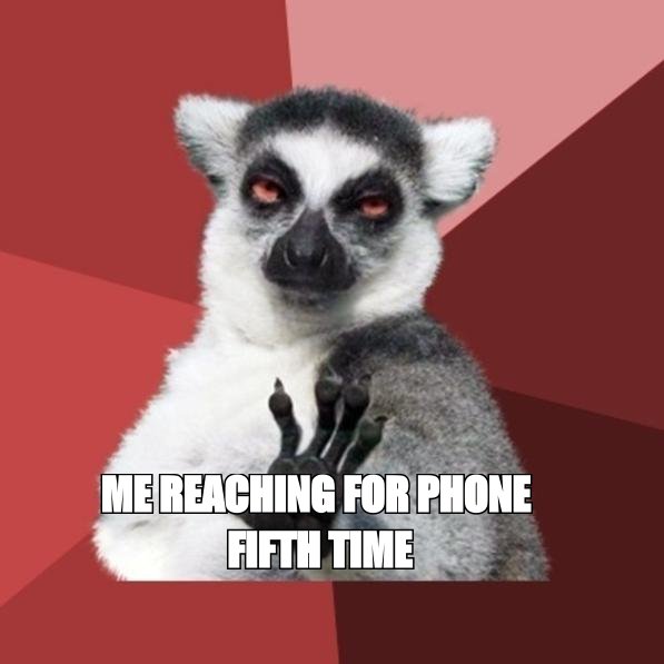 Chill out lemur meme: 'me reaching for phone fifth time'