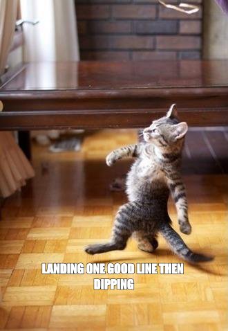 Cool cat stroll meme: 'landing one good line then dipping'