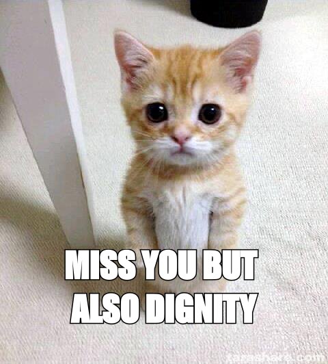 Cute cat meme: 'miss you but also dignity'