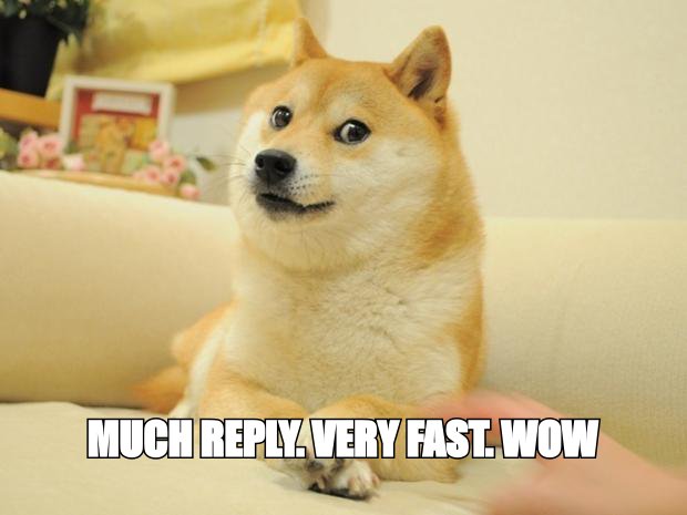 Doge meme: 'much reply, very fast, wow'