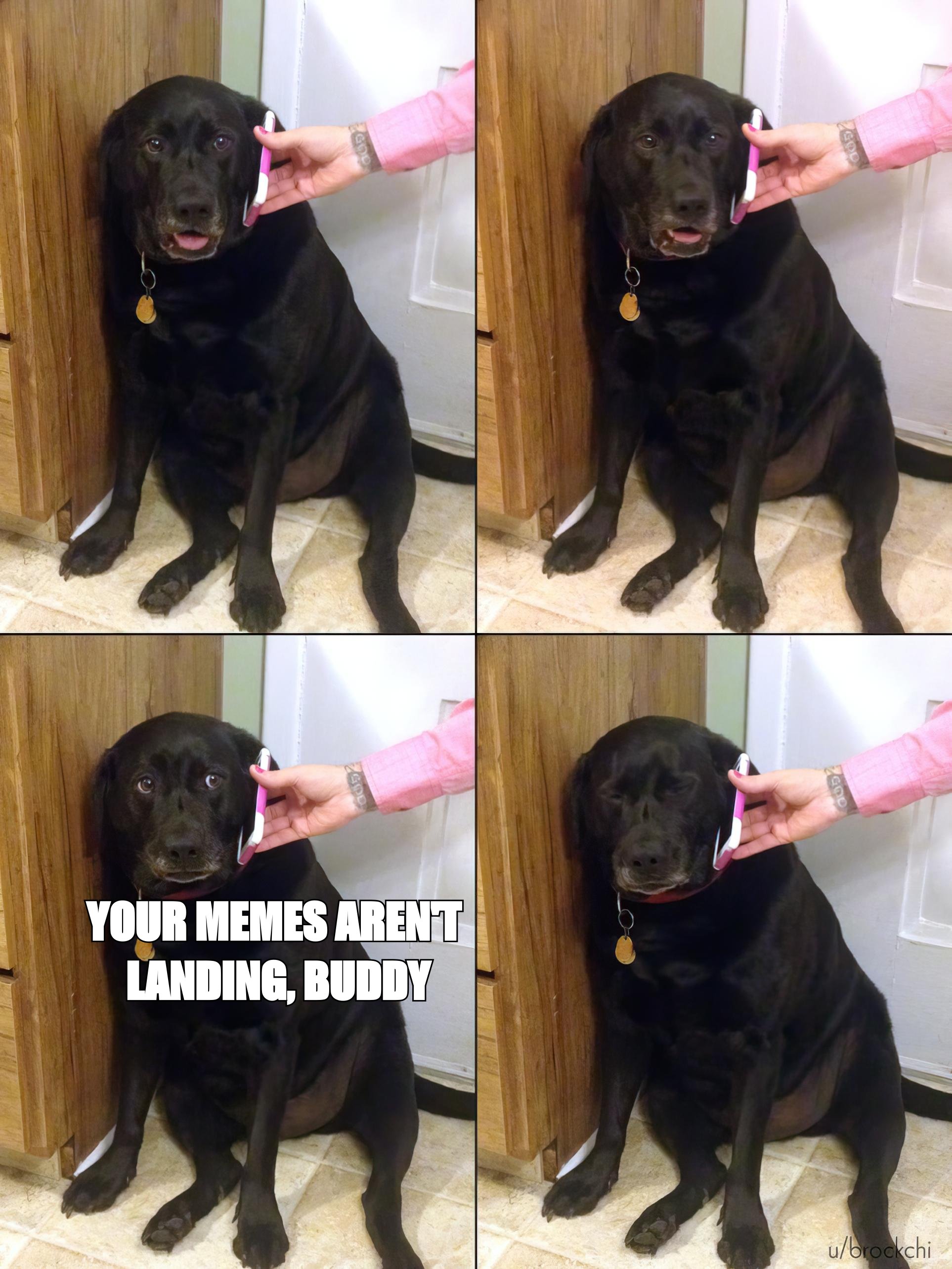 Yes this is dog meme: 'your memes aren't landing, buddy'