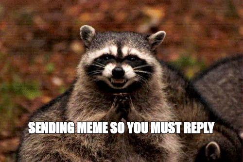 Evil plotting raccoon meme: 'sending meme so you must reply'