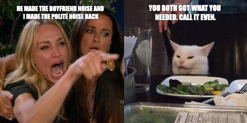 Woman Yelling at Cat meme about the boyfriend noise and she made the polite noise back