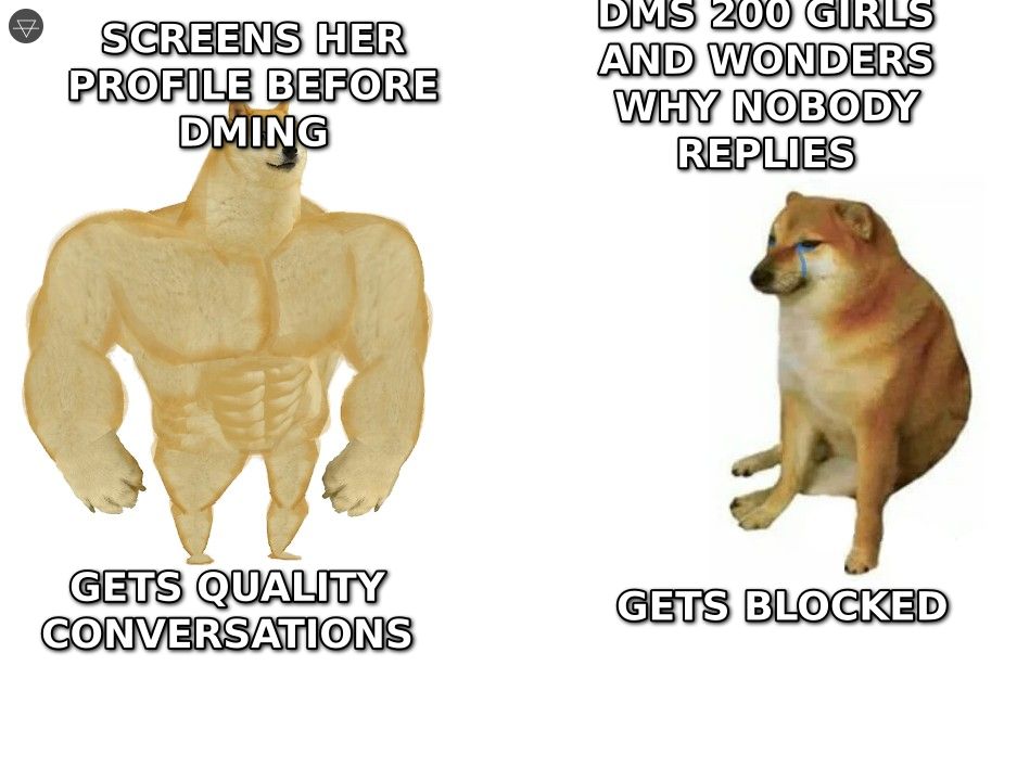 Buff doge screening profiles before DMing and getting quality conversations versus cheems mass DMing 200 girls and getting blocked