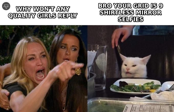 Woman yelling why won't quality girls reply while the cat calmly points out his grid is nine shirtless mirror selfies
