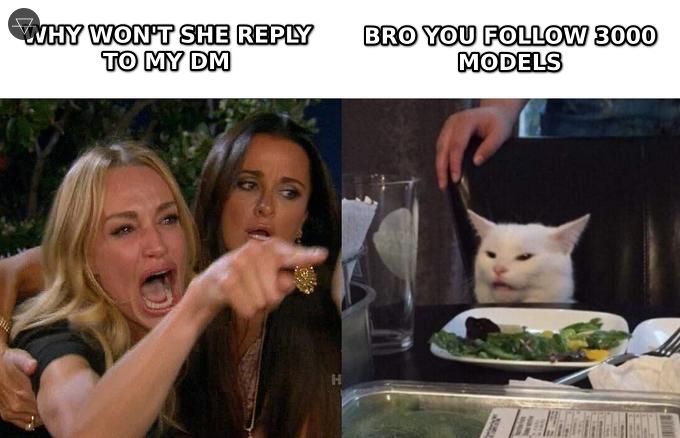 Woman yelling why won't she reply to my DM while the cat calmly points out bro you follow 3000 models
