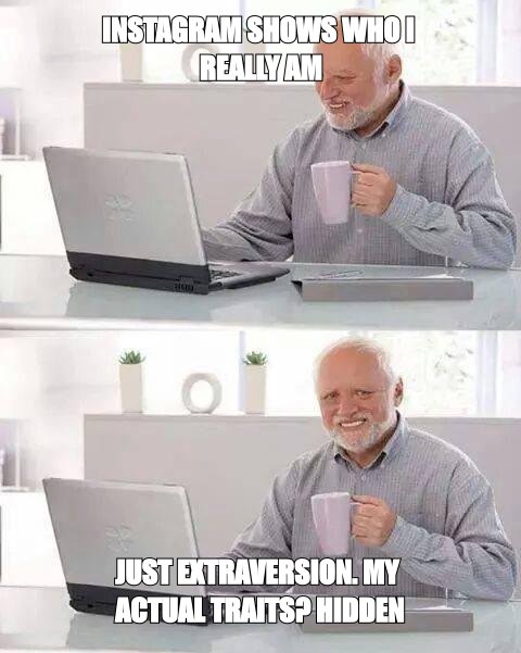 Hide the Pain Harold meme about Instagram showing who you really are